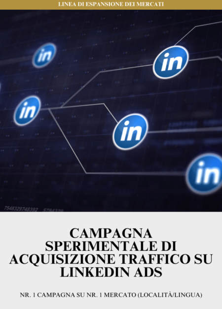 Campagna Sperimentale di Acquisizione Traffico su Linkedin ADS | Nr. 1 Campagna su Nr. 1 Mercato (Località/Lingua)