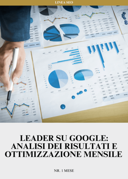 Leader su Google: Analisi dei risultati e ottimizzazione mensile | Nr. 1 mese