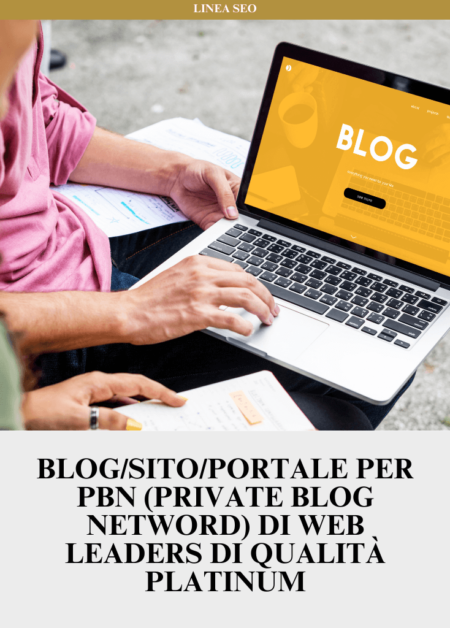 Blog/Sito/Portale per PBN (Private Blog Netword) di Web Leaders di qualità PLATINUM
