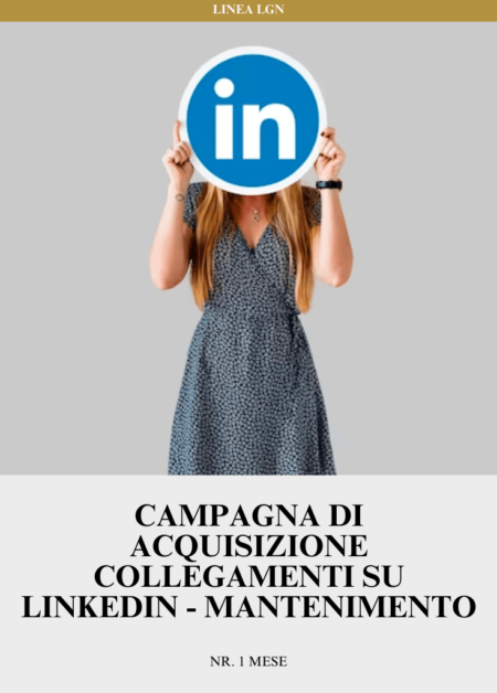 Campagna di Acquisizione Collegamenti su Linkedin - Mantenimento | Nr. 1 mese