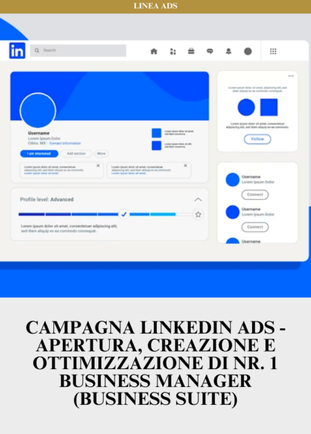 Campagna Linkedin ADS - Apertura, creazione e ottimizzazione di nr. 1 Business Manager (Business Suite)