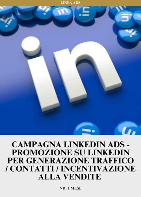 Campagna Linkedin ADS - Promozione su Linkedin per Generazione Traffico / Contatti / Incentivazione alla Vendite | Nr. 1 mese